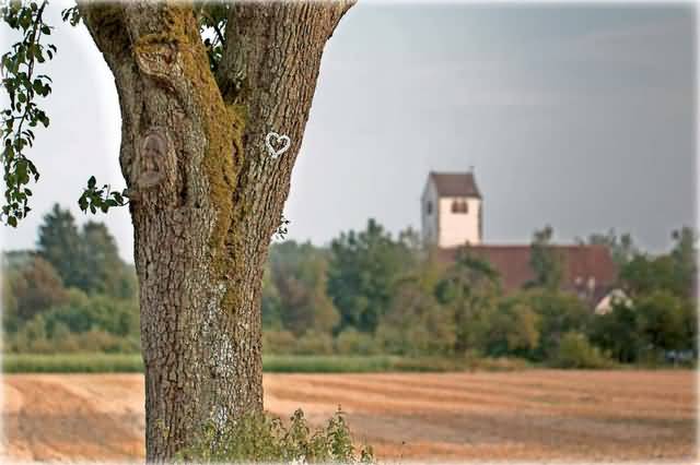 Verräterisches Herz